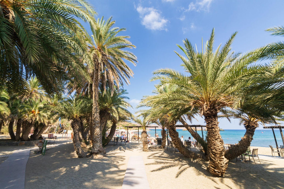 Vai Beach — When Stillness Is the Destination